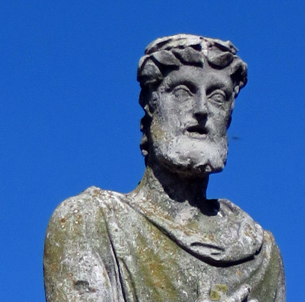 Albertino Mussato (statua n. 28) Padova Sorprende